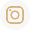 Organic Ig accounts icon